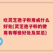 吃灵芝孢子粉用戒什么好处(灵芝孢子粉的使用有哪些好处及禁忌)