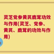 灵芝党参黄芪鹿茸功效与作用(灵芝、党参、黄芪、鹿茸的功效与作用)