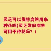 灵芝可以发酵腐熟用来种花吗(灵芝发酵腐熟可用于种花吗？)