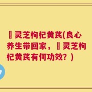 艼灵芝枸杞黄芪(良心养生带回家，艼灵芝枸杞黄芪有何功效？)