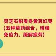 灵芝石斛麦冬黄芪红枣(五种草药组合，增强免疫力、缓解疲劳)