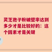 灵芝孢子粉破壁率达到多少才是比较好的：这个因素才是关键