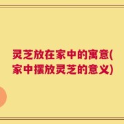 灵芝放在家中的寓意(家中摆放灵芝的意义)