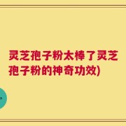 灵芝孢子粉太棒了灵芝孢子粉的神奇功效)