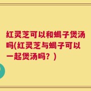 红灵芝可以和蝎子煲汤吗(红灵芝与蝎子可以一起煲汤吗？)