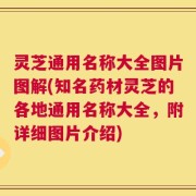灵芝通用名称大全图片图解(知名药材灵芝的各地通用名称大全，附详细图片介绍)
