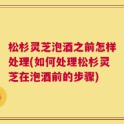 松杉灵芝泡酒之前怎样处理(如何处理松杉灵芝在泡酒前的步骤)