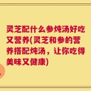 灵芝配什么参炖汤好吃又营养(灵芝和参的营养搭配炖汤，让你吃得美味又健康)