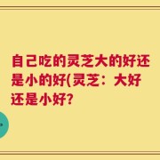 自己吃的灵芝大的好还是小的好(灵芝：大好还是小好？