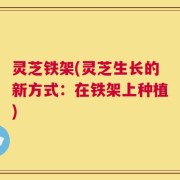 灵芝铁架(灵芝生长的新方式：在铁架上种植)