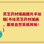 灵芝药材插画图片手绘版(手绘灵芝药材插画，展现自然采摘风味！)