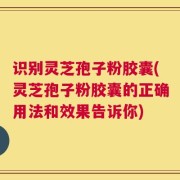 识别灵芝孢子粉胶囊(灵芝孢子粉胶囊的正确用法和效果告诉你)