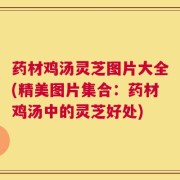 药材鸡汤灵芝图片大全(精美图片集合：药材鸡汤中的灵芝好处)