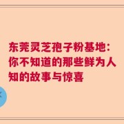 东莞灵芝孢子粉基地：你不知道的那些鲜为人知的故事与惊喜