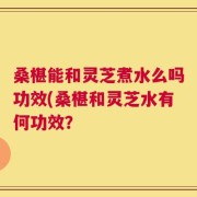 桑椹能和灵芝煮水么吗功效(桑椹和灵芝水有何功效？