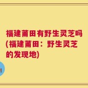 福建莆田有野生灵芝吗(福建莆田：野生灵芝的发现地)