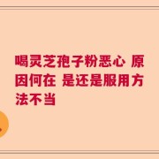 喝灵芝孢子粉恶心 原因何在 是还是服用方法不当