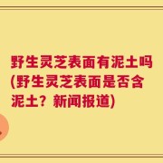 野生灵芝表面有泥土吗(野生灵芝表面是否含泥土？新闻报道)