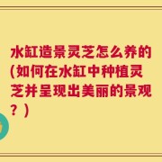 水缸造景灵芝怎么养的(如何在水缸中种植灵芝并呈现出美丽的景观？)