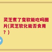 灵芝煮了变软能吃吗图片(灵芝软化能否食用？)