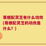 葛根配灵芝有什么功效(葛根配灵芝的功效是什么？)