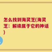 怎么找到海灵芝(海灵芝：解读属于它的神话)