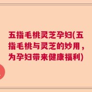五指毛桃灵芝孕妇(五指毛桃与灵芝的妙用，为孕妇带来健康福利)