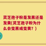 灵芝孢子粉是发黑还是发黄(灵芝孢子粉为什么会变黑或变黄？)