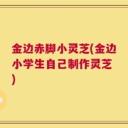 金边赤脚小灵芝(金边小学生自己制作灵芝 )