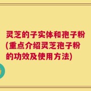 灵芝的子实体和孢子粉(重点介绍灵芝孢子粉的功效及使用方法)