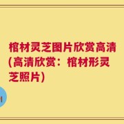 棺材灵芝图片欣赏高清(高清欣赏：棺材形灵芝照片)