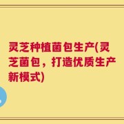 灵芝种植菌包生产(灵芝菌包，打造优质生产新模式)