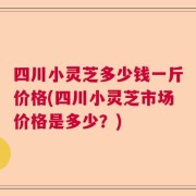 四川小灵芝多少钱一斤价格(四川小灵芝市场价格是多少？)