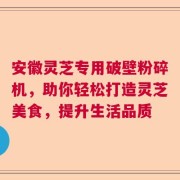 安徽灵芝专用破壁粉碎机，助你轻松打造灵芝美食，提升生活品质