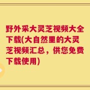 野外采大灵芝视频大全下载(大自然里的大灵芝视频汇总，供您免费下载使用)