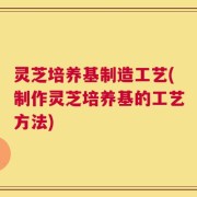 灵芝培养基制造工艺(制作灵芝培养基的工艺方法)