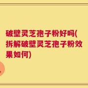 破壁灵芝孢子粉好吗(拆解破壁灵芝孢子粉效果如何)