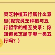 灵芝种植五行属什么意思(探究灵芝种植与五行哲学的相互关系：你知道灵芝属于哪一类五行吗？)