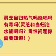 灵芝当归热气吗能喝吗有毒吗(灵芝和当归泡水能喝吗？毒性问题你需要知道！)