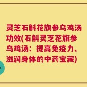 灵芝石斛花旗参乌鸡汤功效(石斛灵芝花旗参乌鸡汤：提高免疫力、滋润身体的中药宝藏)