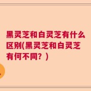 黑灵芝和白灵芝有什么区别(黑灵芝和白灵芝有何不同？)