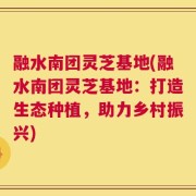 融水南团灵芝基地(融水南团灵芝基地：打造生态种植，助力乡村振兴)