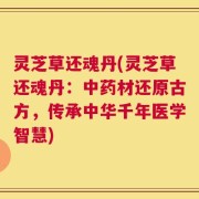 灵芝草还魂丹(灵芝草还魂丹：中药材还原古方，传承中华千年医学智慧)