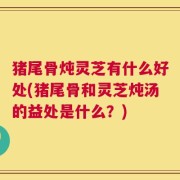 猪尾骨炖灵芝有什么好处(猪尾骨和灵芝炖汤的益处是什么？)