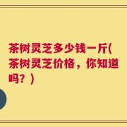 茶树灵芝多少钱一斤(茶树灵芝价格，你知道吗？)