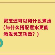 灵芝还可以和什么煮水(与什么搭配煮水更能激发灵芝功效？)