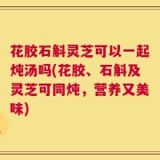 花胶石斛灵芝可以一起炖汤吗(花胶、石斛及灵芝可同炖，营养又美味)