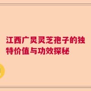 江西广炅灵芝孢子的独特价值与功效探秘