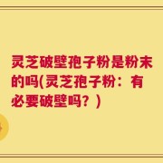 灵芝破壁孢子粉是粉末的吗(灵芝孢子粉：有必要破壁吗？)