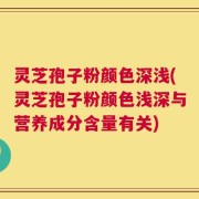 灵芝孢子粉颜色深浅(灵芝孢子粉颜色浅深与营养成分含量有关)